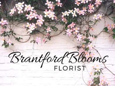 Brantford Blooms.png