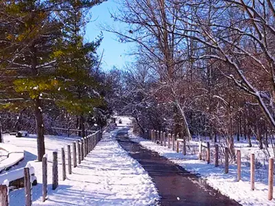 winter-trails---blog.png
