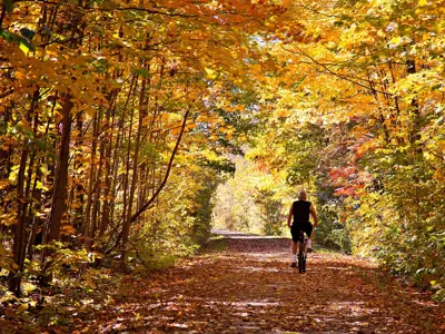 Brant Conservation Area.png